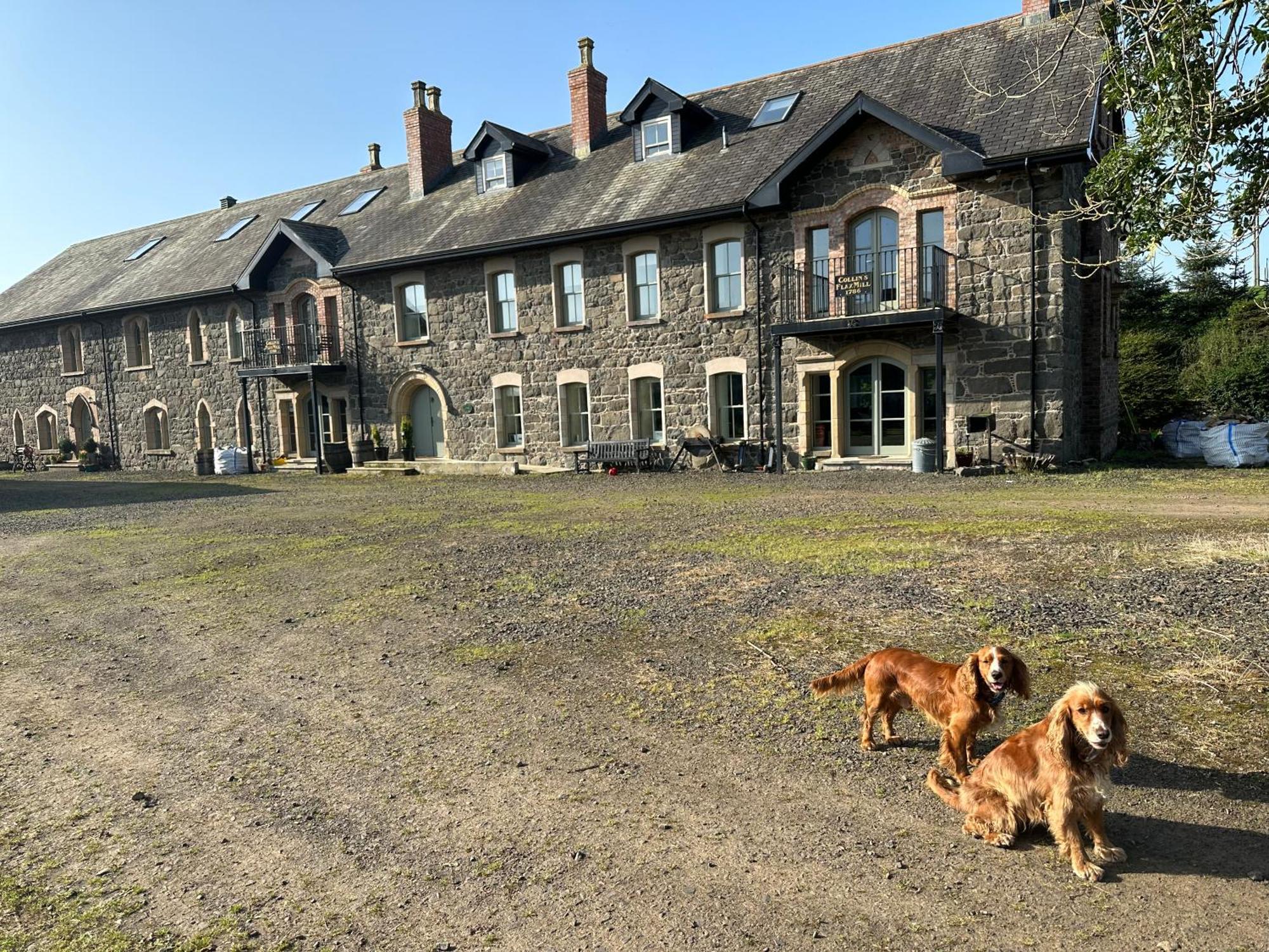 The Old Flax Mill Yoga Retreat Villa Coleraine Bagian luar foto